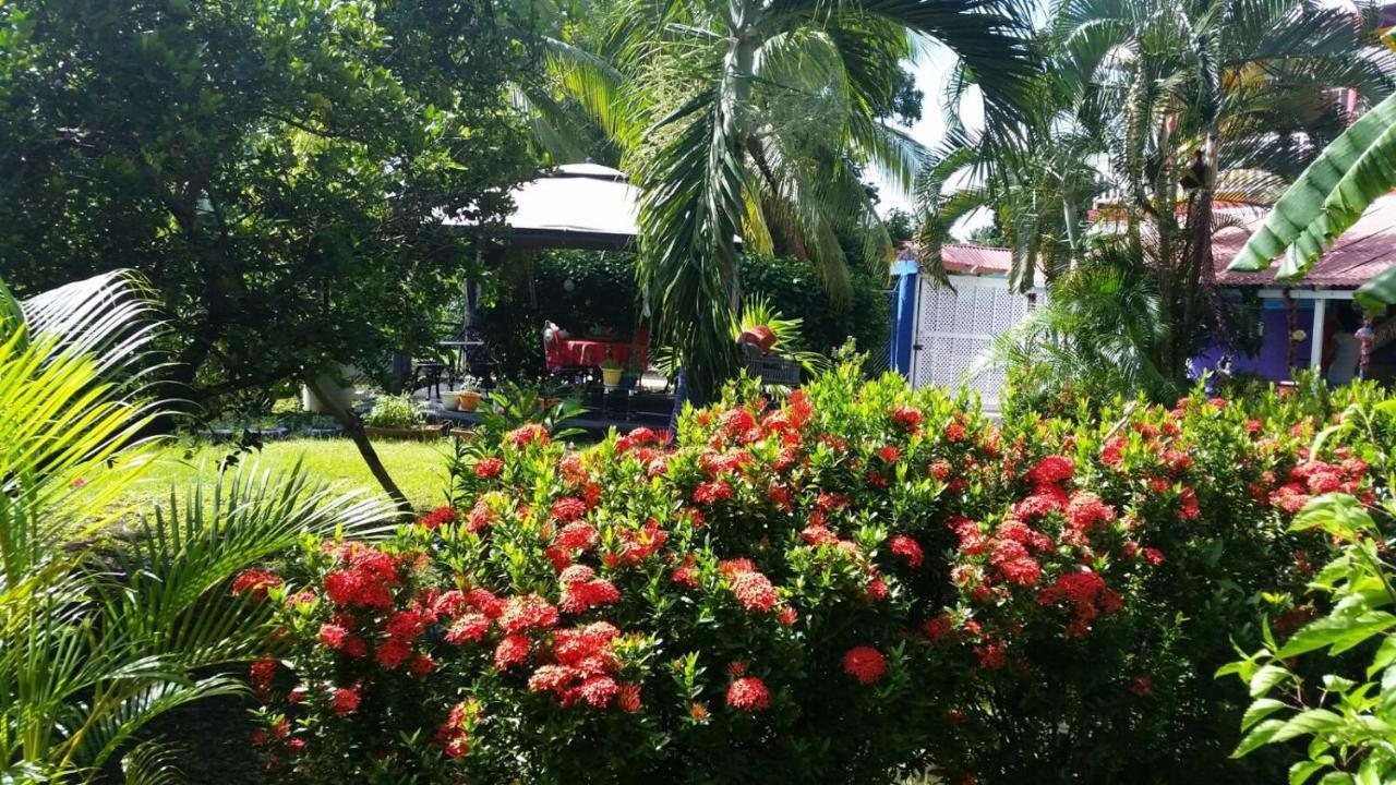 Posada Nativa Licy ซานอันเดรส ภายนอก รูปภาพ